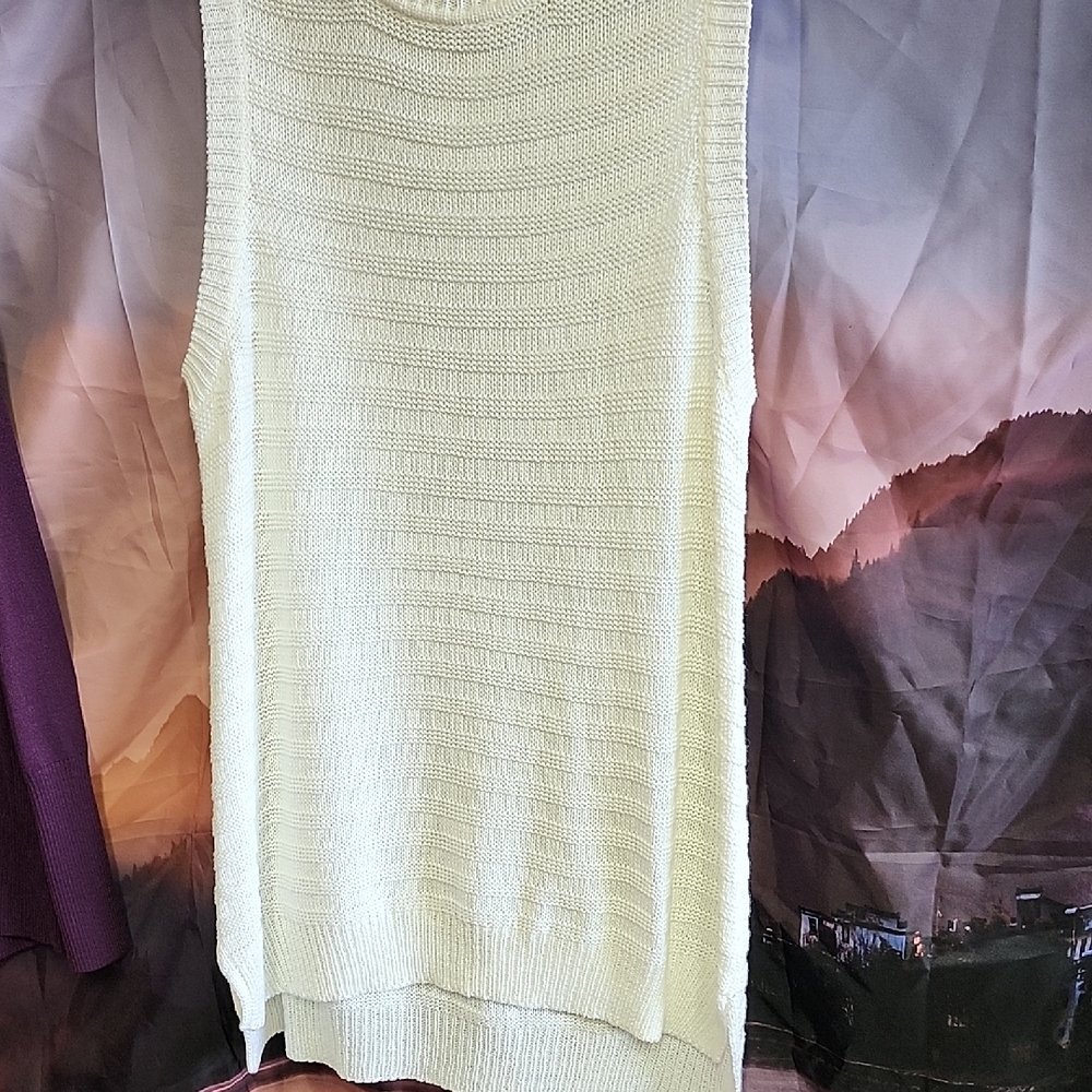 Nwt Wonderly Light White Sleeveless Turtleneck Sweater